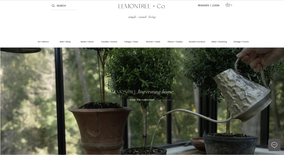 Lemontree + Co website