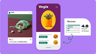 Examples of social media posts and reviews for a vegan restaurant